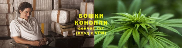 бошки Алексин