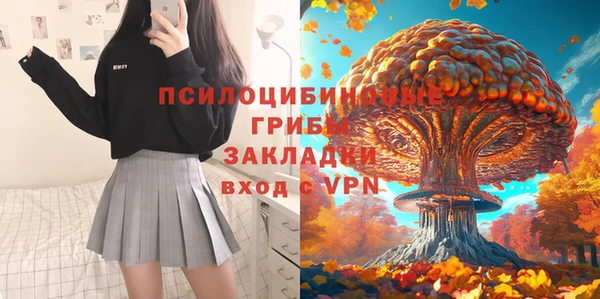 бошки Алексин
