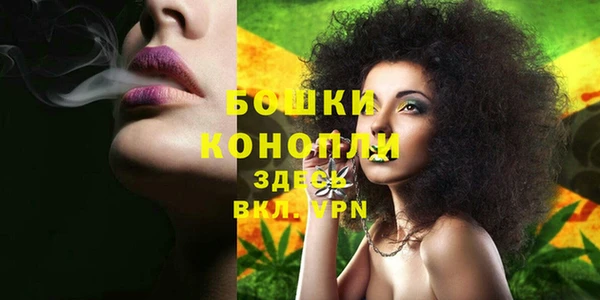 бошки Алексин